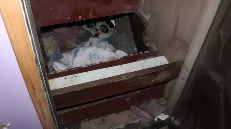 Niña desaparecida desde hace casi 3 años es hallada viva debajo de una escalera de la casa de su abuelo