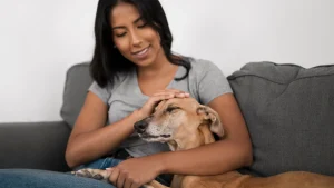 Italia es el primer país en dar permiso laboral para cuidar a las mascotas