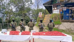 El Ejército decomisó más de 2 300 explosivos en Zamora Chinchipe