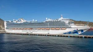 Más de 100 infectados por norovirus en un crucero que partió de Estados Unidos
