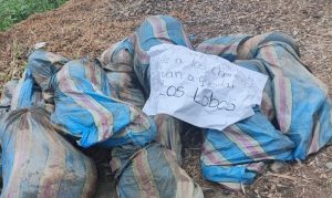 Hallan ocho cadáveres ensacados en Babahoyo y crece la incertidumbre por jóvenes desaparecidos