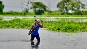 Fenómeno de El Niño: según la ONU, hay un 80 % de probabilidad de que llegue entre junio y agosto de 2026
