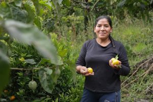 BanEcuador entrega más de USD 109 millones en financiamiento a pequeños productores mediante el Crédito 7×7