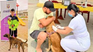GOBIERNO DE ECUADOR IMPULSA CAMPAÑA DE VACUNACIÓN ANTIRRÁBICA CANINA Y FELINA