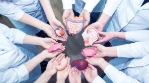 HOY 14 DE OCTUBRE SE CELEBRA EL DÍA NACIONAL DE DONACIÓN Y TRASPLANTE